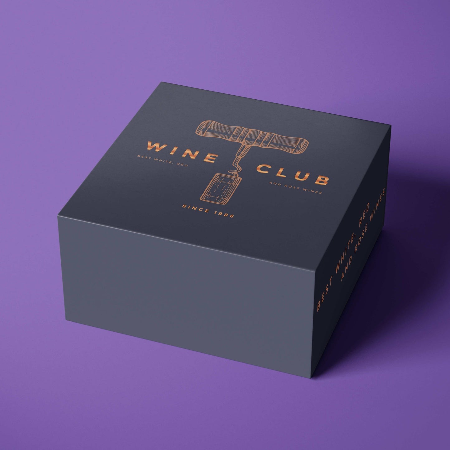 Collapsible Rigid Boxes